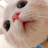 leejh060223